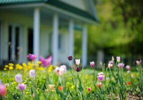 home-automation-systems-springtime